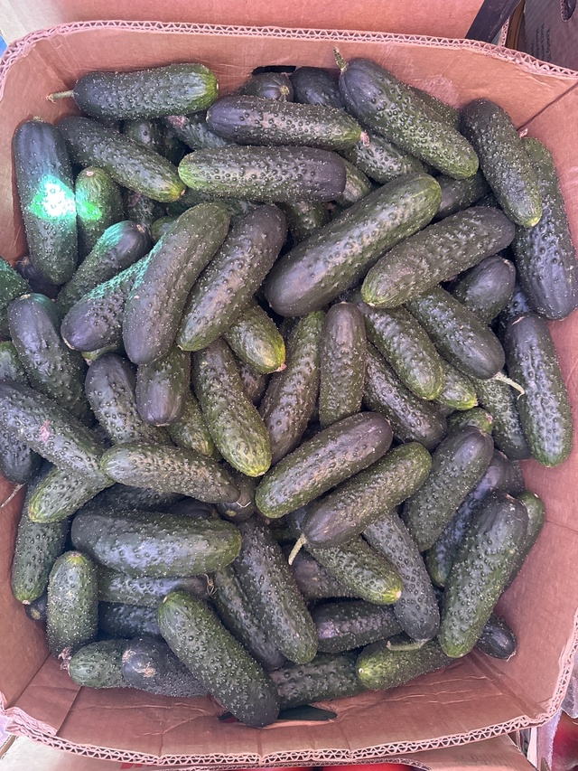 Добро пожаловать за свежими, вкусными, и полезными ово?...