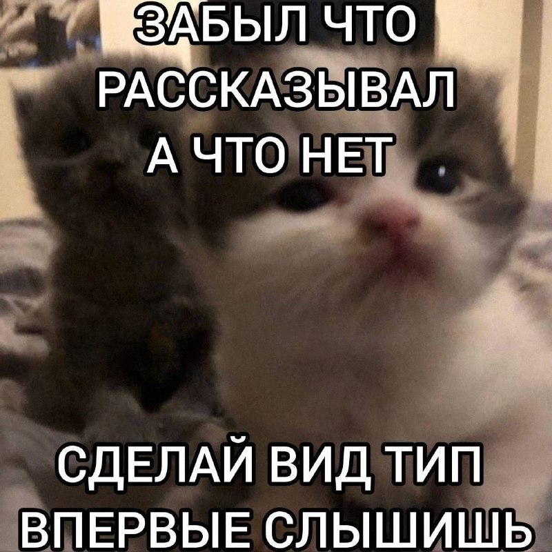 Утренняя подборочка