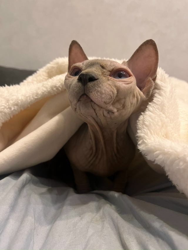 Зеваааааать 🥱❤️