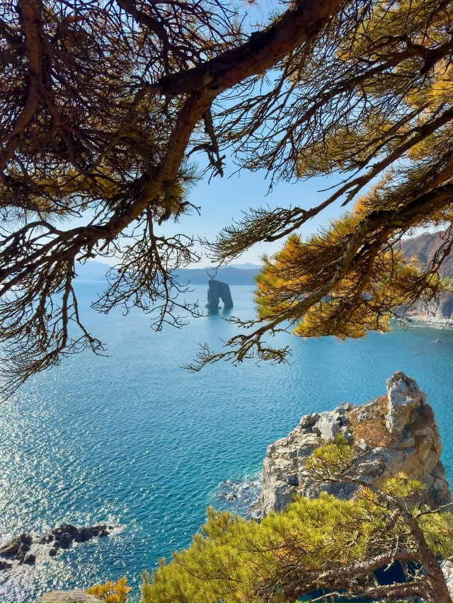 Мыс Сосновый, Приморье 🇷🇺