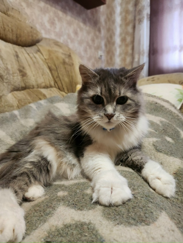 Тиша: К холодам готовы 🥰🥰🥰