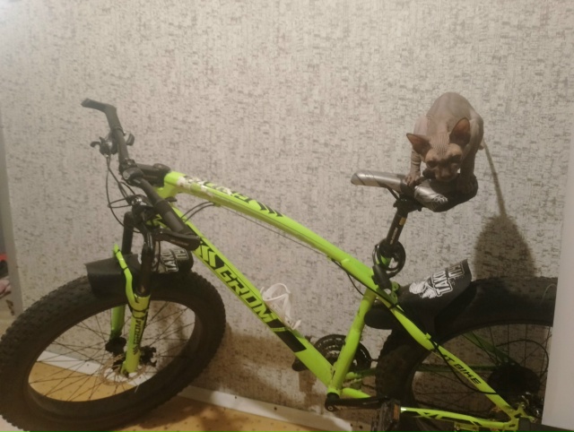 Я спортик ...ля😅Анубис,любимый ухо и носокусака