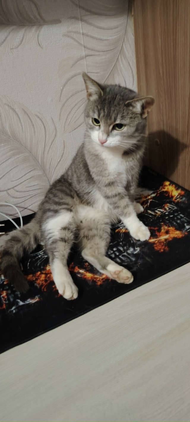 Анонимно можно.
Всем здравствуйте.
Чья потеряшка?
Возл?...