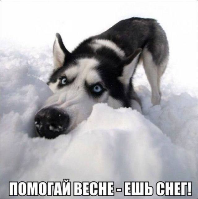 в этом году особенно актуально