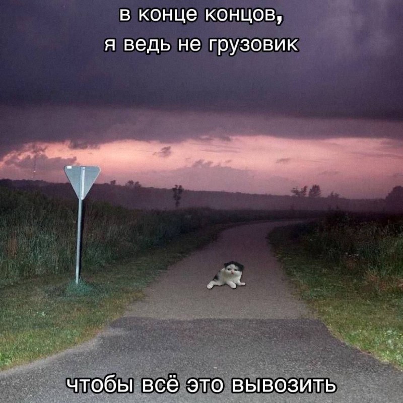 Утренняя подборочка