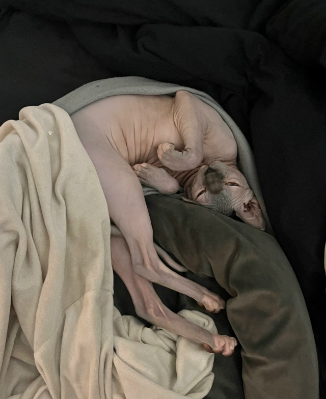 Лола, она же Пипса, она же сладкая булка сегодня праздн?...