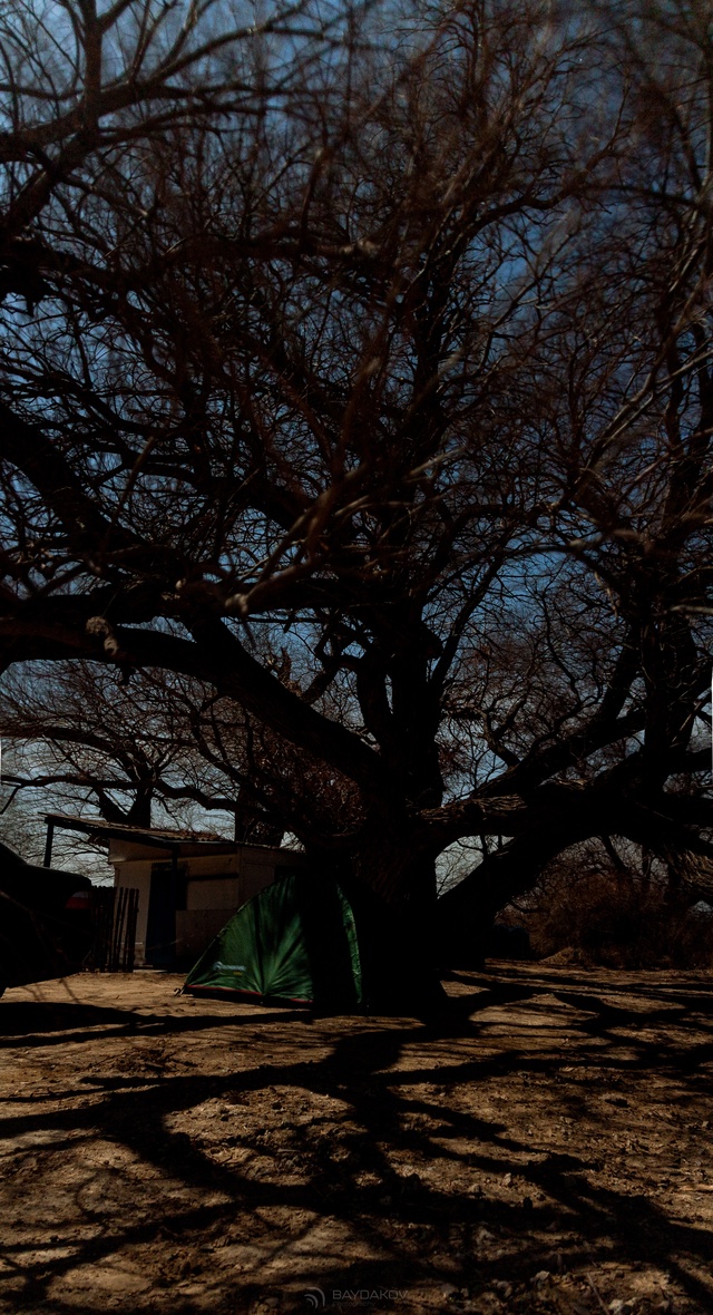 Ночь. Палатка. Яркий свет луны ?
Не всегда весной вып...