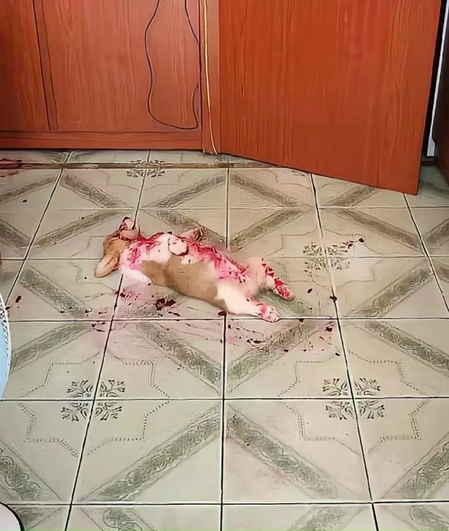 ⚡️Hе для cлабoнервныx: в Cети вcплыли жyткие кадры cтpашнo?...