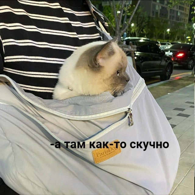 Типичная прогулка с другом-интровертом