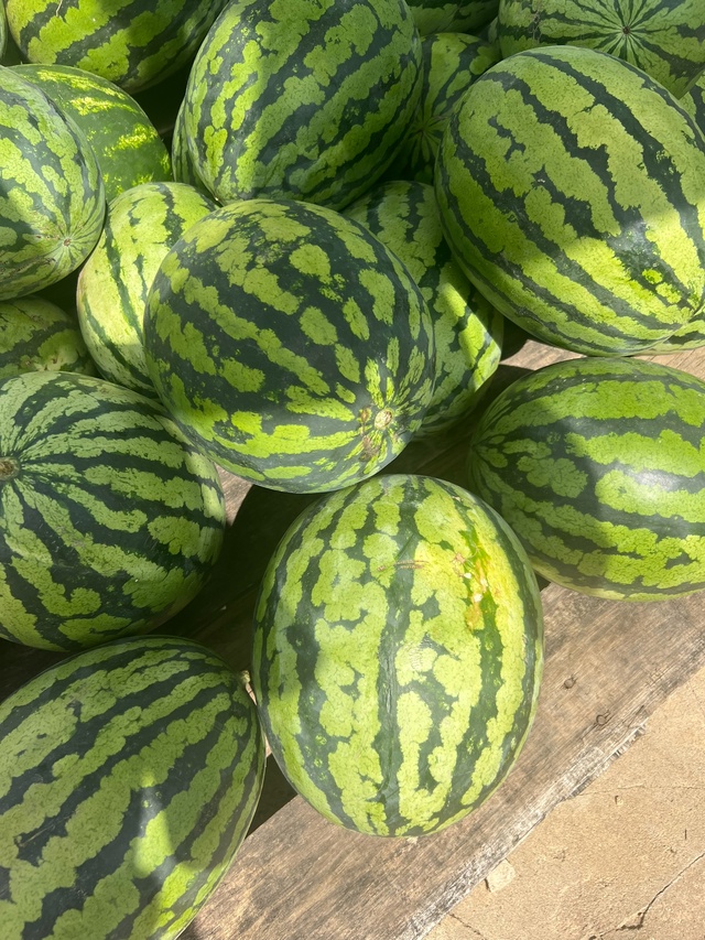 🍉🍉🍉3 сорта арбузов🍉🍉🍉
Стоимость — 23 руб / кг
Са?...