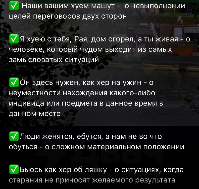 В Интернете появилась коллекция идеальных поговорок на каждый день
Сохраняем и используем с коллега