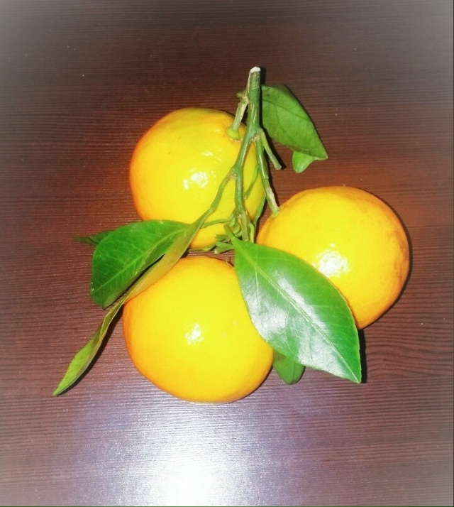 Скоро на всех столах страны☺