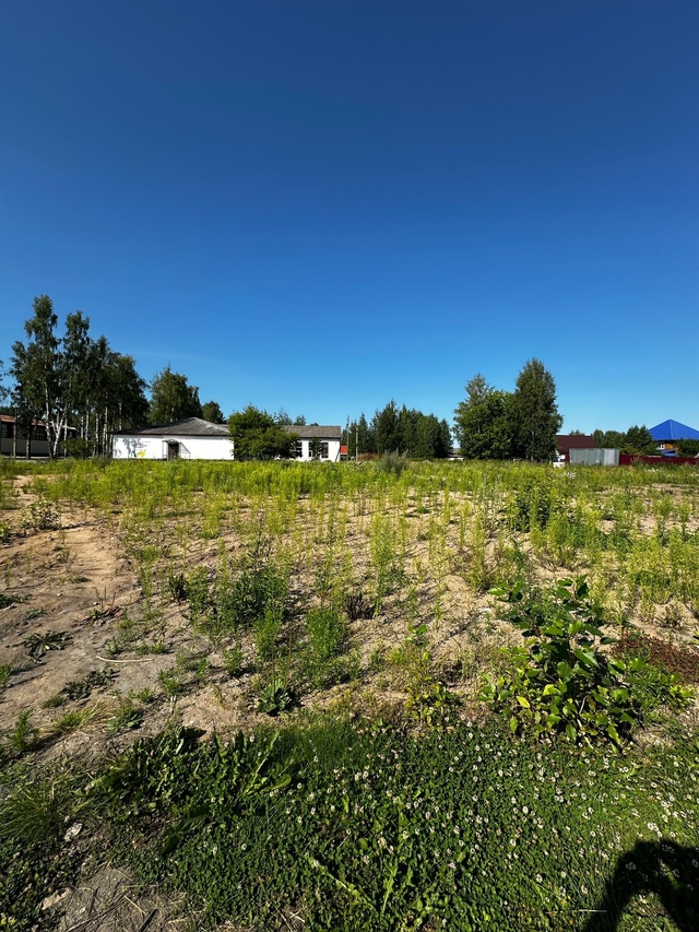 Долго ещё будет пустовать земля на 1 Мая? Обещали вроде ...