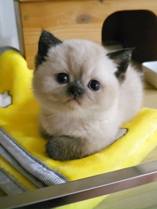 Любовь с первого взгляда 😍