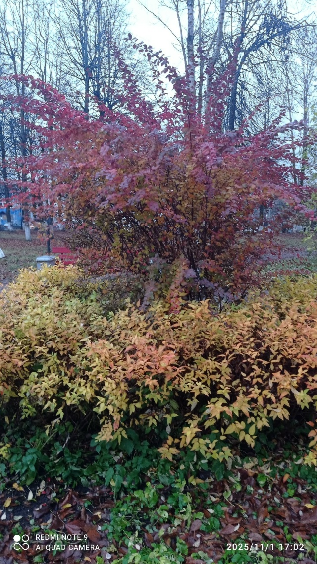 #КрасотыЛужскогоКрая