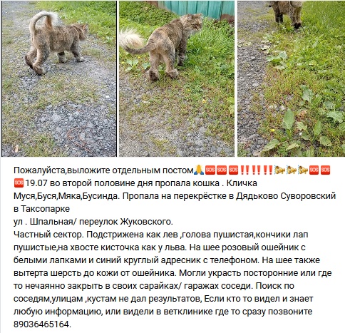 Пост добра. Распространите, пожалуйста.