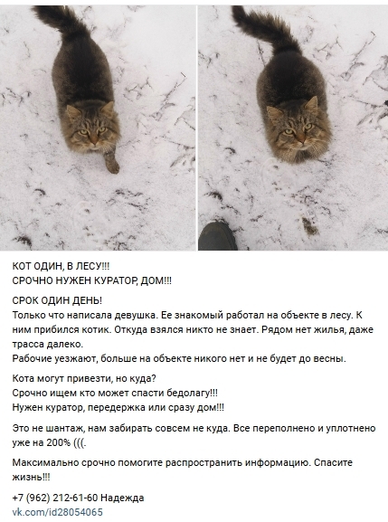 Пост добра. Распространите, пожалуйста.