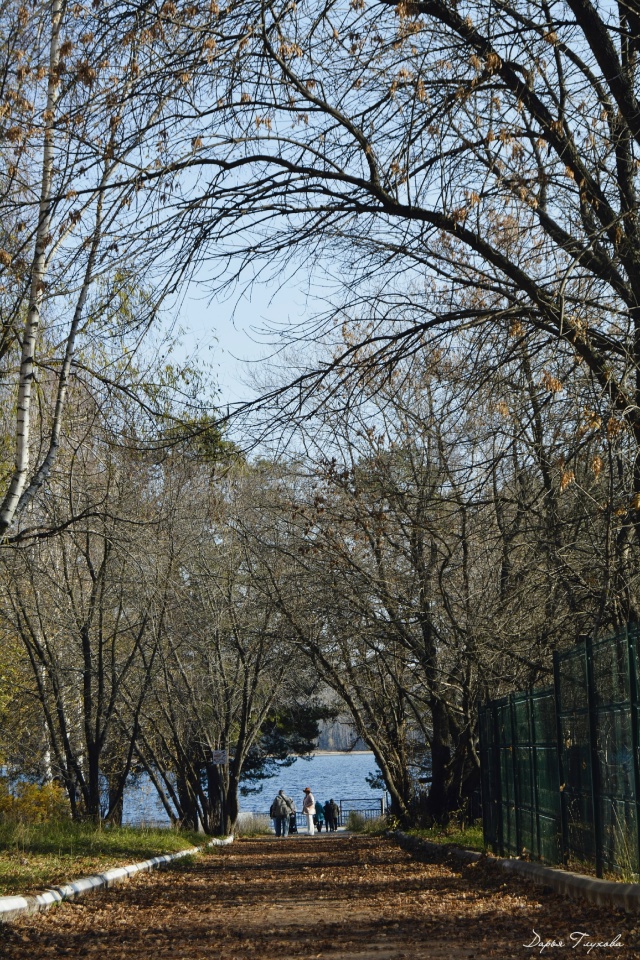 Количество солнечных дней сокращается.
Как поднимает?...