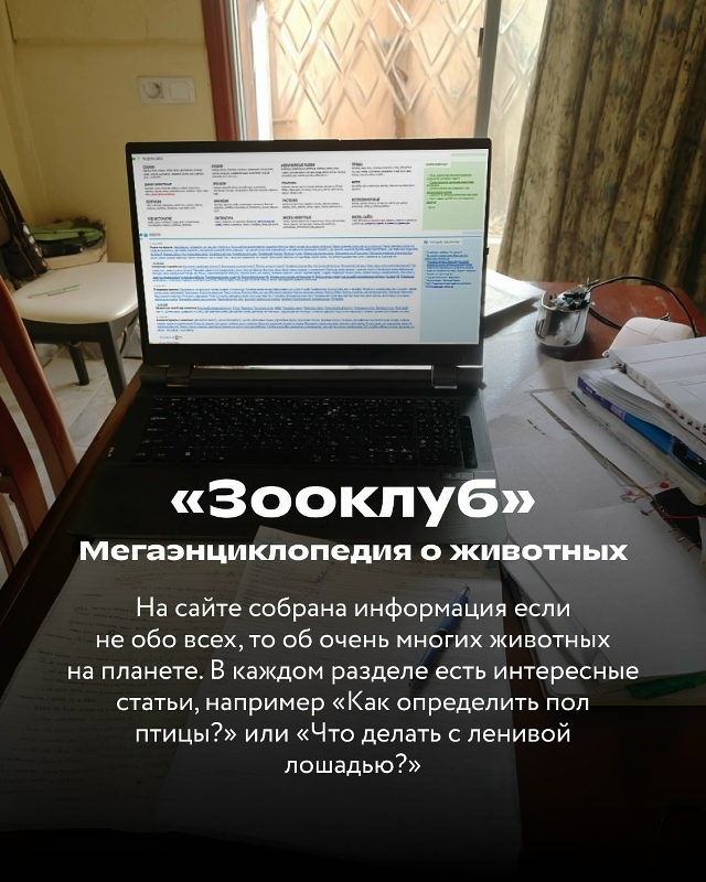 Подборка сайтов для учёбы