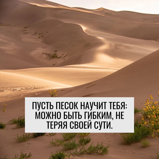 Природа может научить..