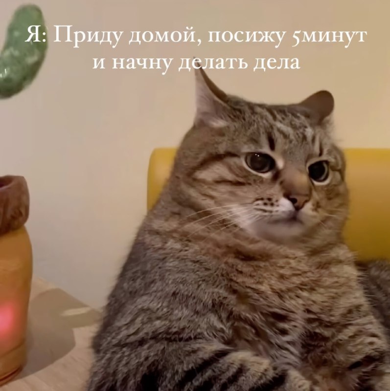 Почему такая жиза?