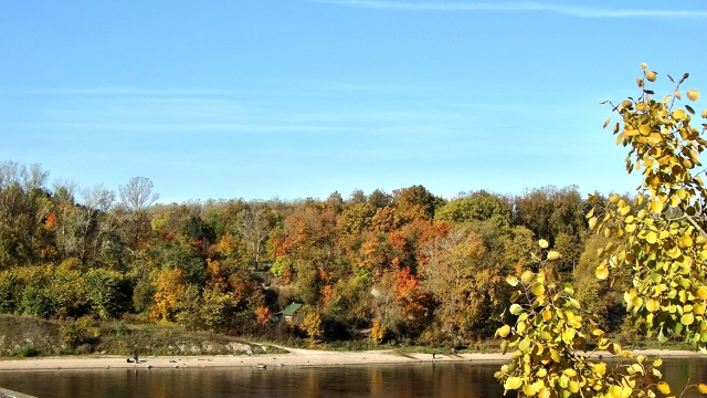Осень в городе.На фото №3 Энт - пастырь деревьев из Влас...
