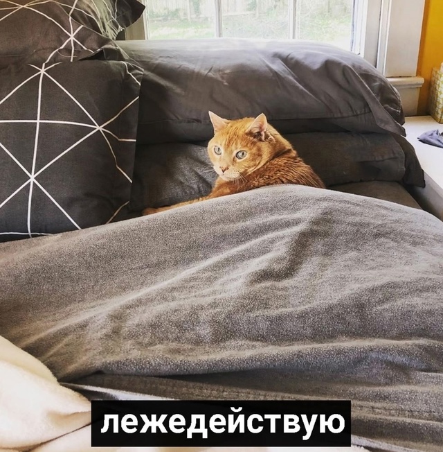 Просто я в свой выходной: