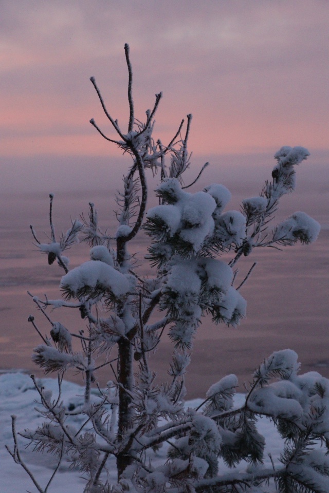 Когда фильтры не нужны🩷
[id1430345|Елена Серикова]