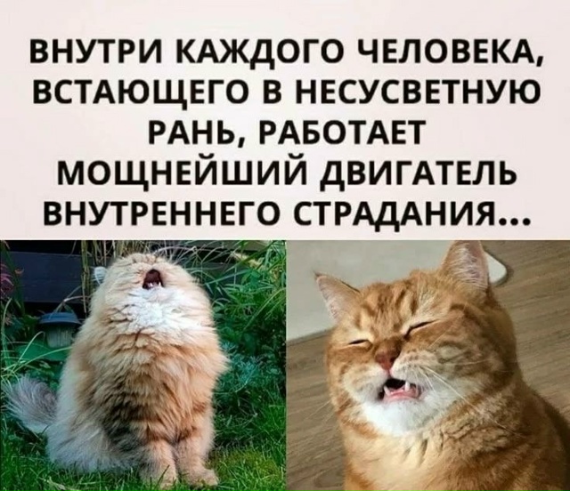 С началом новой трудовой недели!