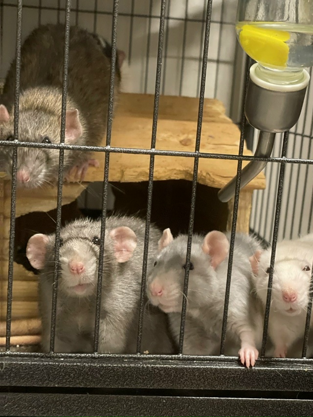 😭Крик о помощи...
Дорогие друзья, меня зовут Маша и я в?...