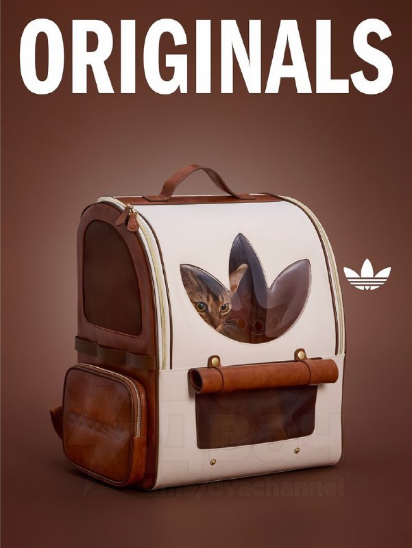 Adidas в Китае представил новую линейку одежды для питомцев — да, теперь есть осенне-зимние вещи для