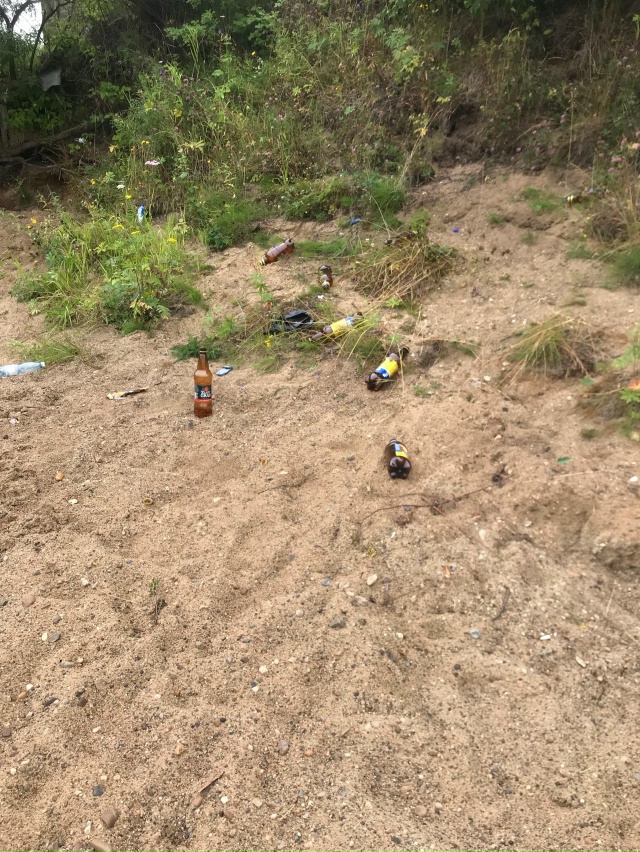Пришли купаться на речку,принесли в пакетах бутылки,за...