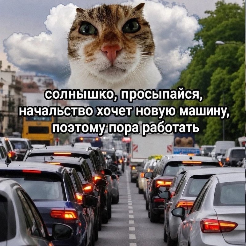 Утренняя подборочка
