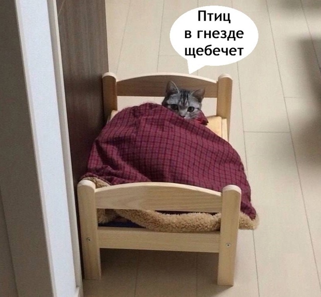 Просто я каждые выходные