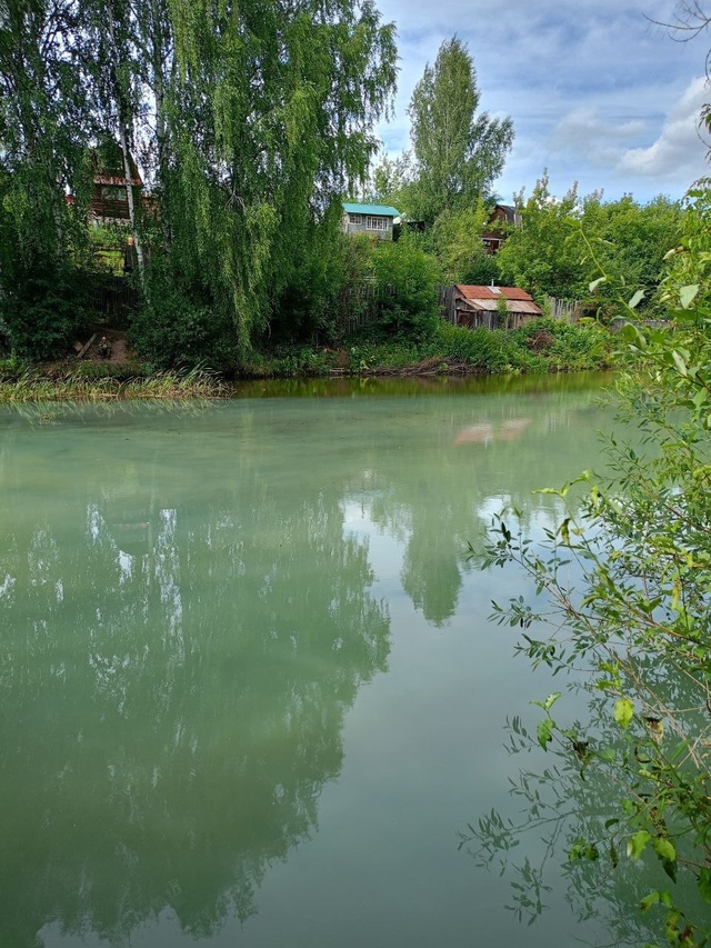Вчера, 17.07.2025 в воду залива, впадающего выше Камской ГЭС...