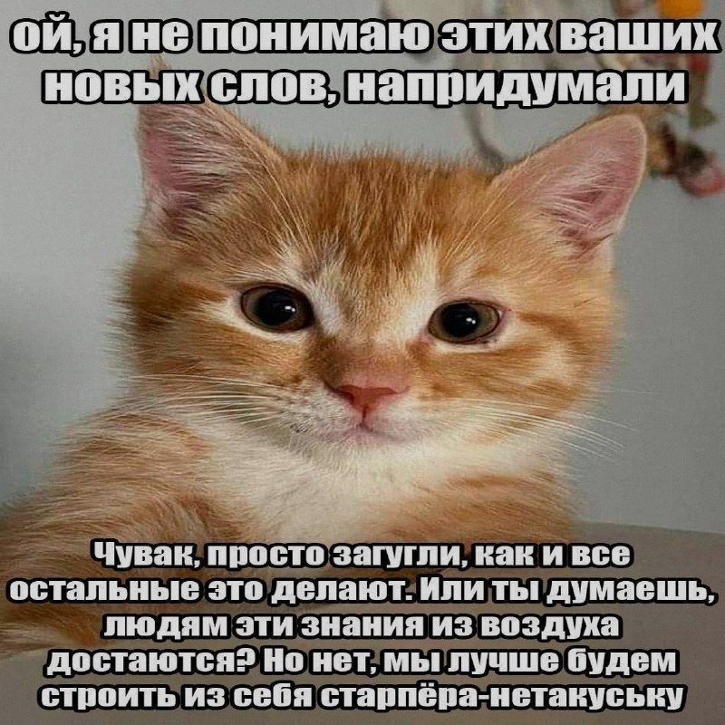 Ночная подборочка
Спать, режим