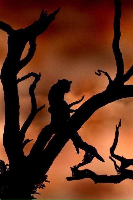 На закате....🌅