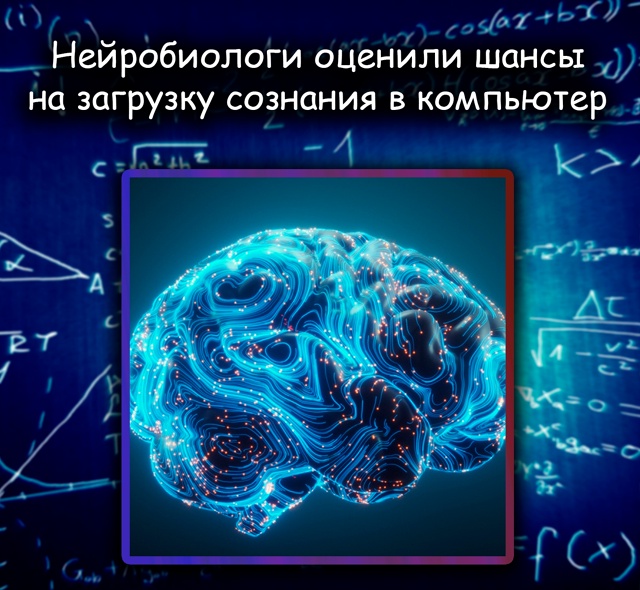 Загрузка сознания: нейробиологи дали прогноз
Перенос ...