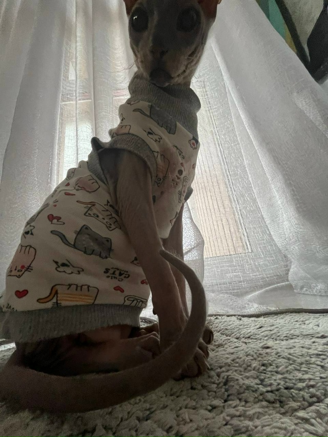 Всрато-подборка Арчибальда Коксовича