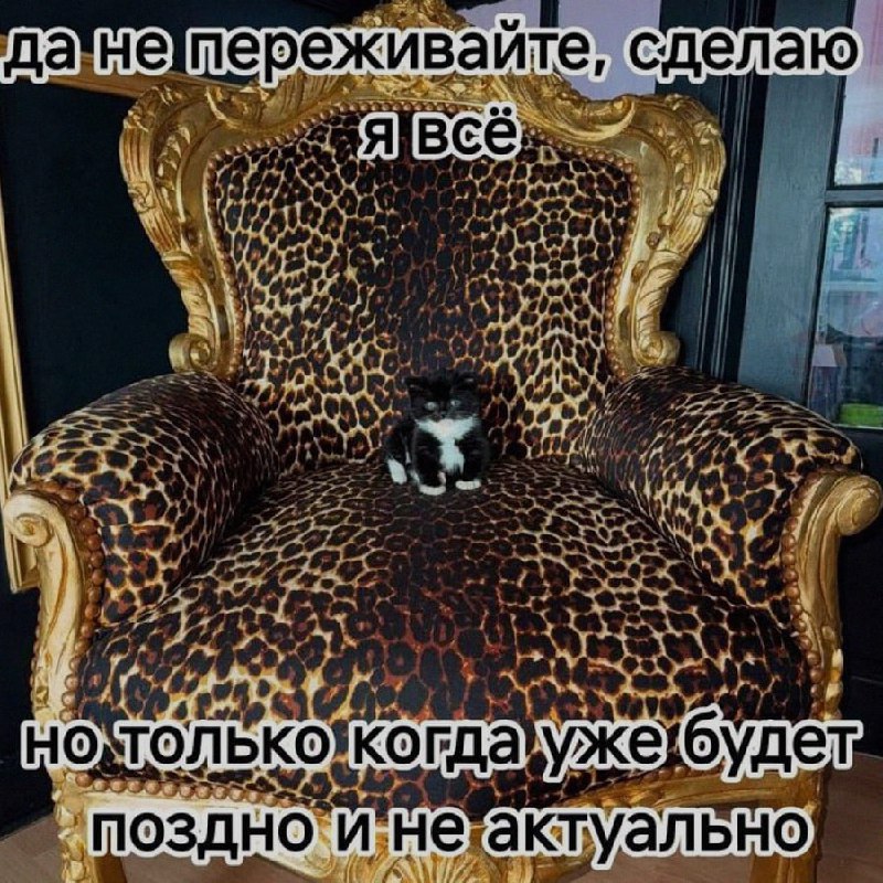 Ночная подборочка
Спать, режим