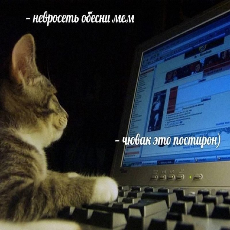 Утренняя подборочка