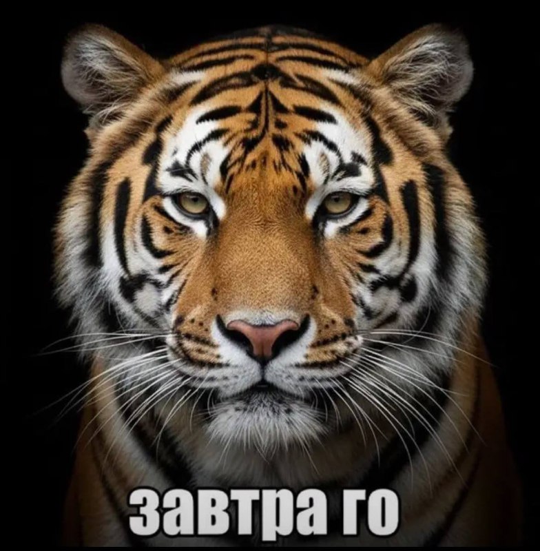 парни, когда девушка хочет на свидание: ну не
парни, когда друзья позвали на шиномонтажку в другой