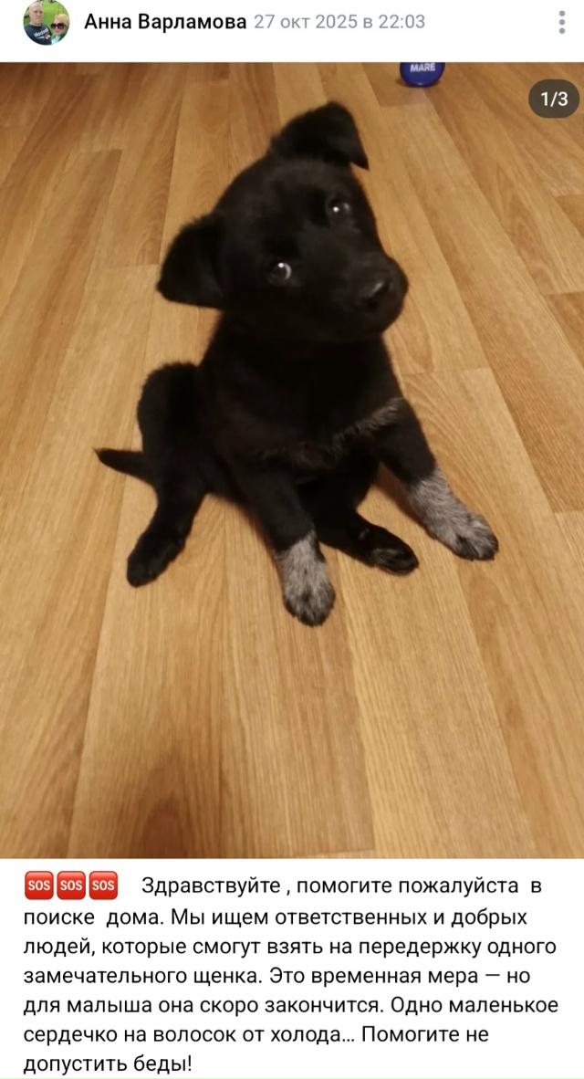 Пост добра. Распространите, пожалуйста)