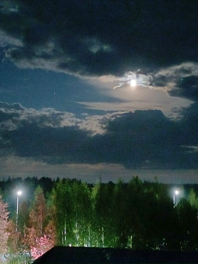 Ночные огни