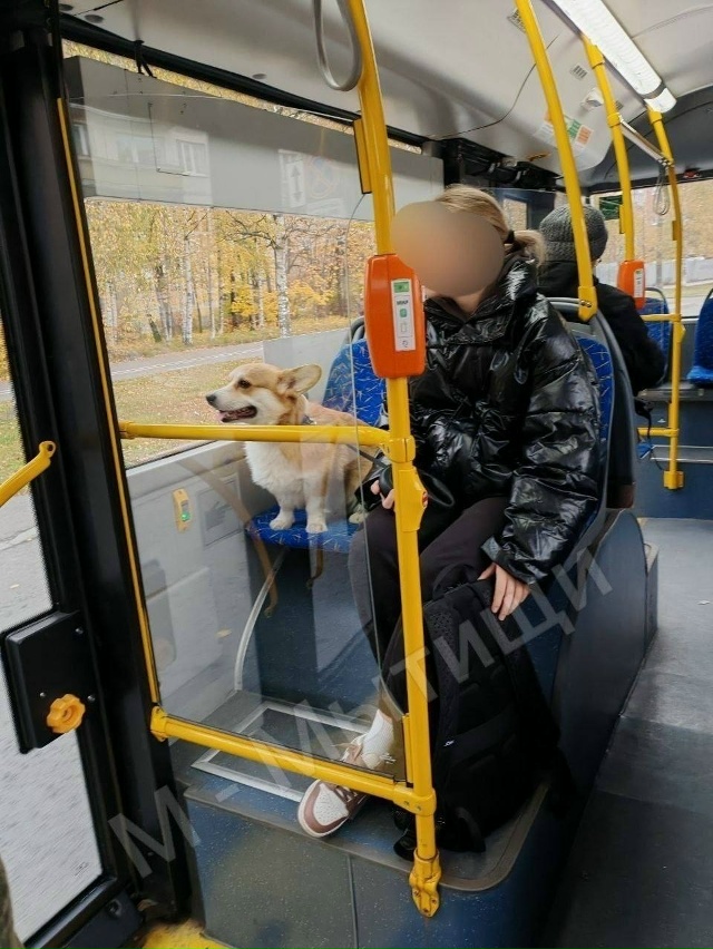 🤔 Как вы считаете, допустимо ли сажать в общественном ...