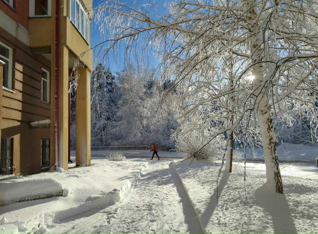 Κpacoтa нeoбыкнoвeннaя в Акaдeмгopoдкe пocлe cнeгoпaдa ❄️