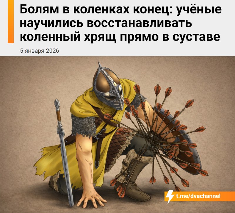 ‼️Боль в коленях В С Ё: учёные нашли способ восстанавливать хрящевую ткань прямо внутри сустава.
Ви