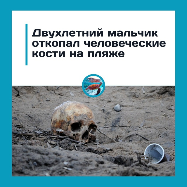 Двухлетний мальчик выкопал человеческие кости на пляж...