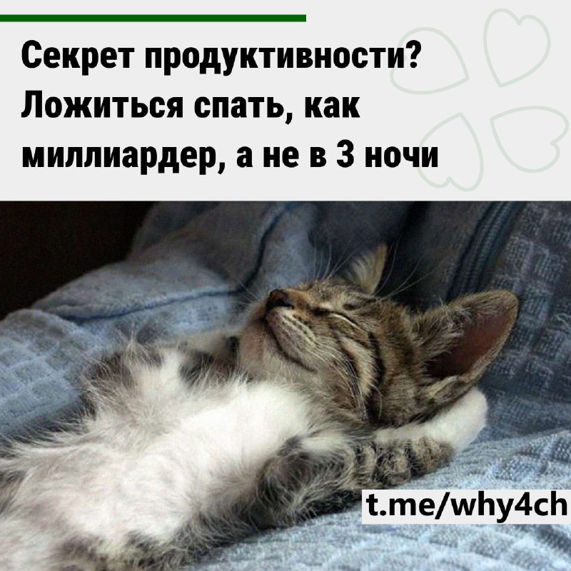 Волшебный ключ к продуктивности — качественный сон. Журналисты Bloomberg изучили сон CEO крупных ком