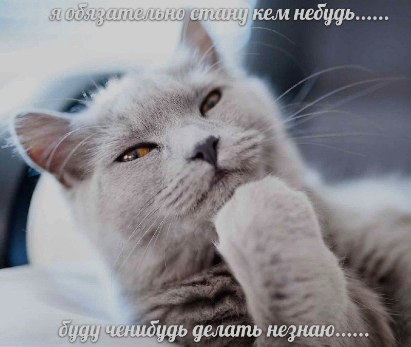 Ночная подборочка
Спать, режим